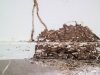 خطر النمل الأبيض على أساسات المنزل والأثاث الخشبي